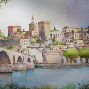 Avignon de la Barthelasse