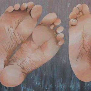Le pied